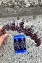 Thalia Crown Three Shuttle Earrings Set Purple – Sparkling Evening Dress Accessory with Stones for Bridal Henna Wedding - 3