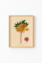 Azalea pontica - إطار خشبي منقوش