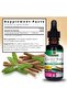 Answer, Licorice, Alcohol-Free, 2000 mg, 1 fl oz (30 ml) - 3