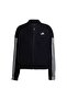 Holiday High Pile Fleece Full-Zip Tracksuit Top