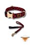 Stylish Dog Collar and Travel Dispatch Strap Set (with Scarf gift)