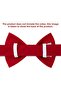 Red Velvet Dog Bow Tie (SIZE 3) - Bow Tie Only, Leash Not Included - 2
