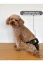 Khaki Dog Menstrual Panties, Female Dog Pee Diapers - 4