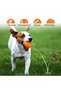 Original Tennis Squeaker Ball Dog Toy, 4 Pack - 2