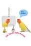 Cage Mirror Horizontal Square Double-Sided for Sultan Sevda Cennet Lovebirds and Birds of Various Sizes