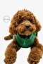 Dog Clothing, Puffer Waterproof Dog Coat, Small and Medium Breed Dog Suit