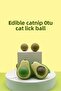 Edible Cat Mint Herb Play Ball Toy Cat Licking Ball