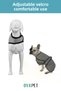 Adjustable Double Layer UV Protection Dog Cooling Vest - Special Fabric Coat Vest - 6