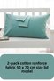 Mint Colored Ranforce Cotton Fabric Covered Model Pillowcase 2-Pack 50X70 cm Size