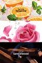 لوشن الجسم النسائي Lov U Connected 125 مل. مجموعة ثلاثية - 4