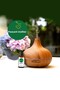 Peppermint Oil 20 ml - Pure Essential Oil Air Freshener Censer Essence - 4