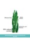 Hydra Vegetal Skin Serum for Normal and Dry Skin - Carest Cosmetic - 4