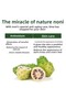 Noni & Super Nourishing Herbal Korean Tonic |   Revitalizing & Moisturizing 210 Ml- Ikore - 5