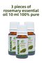 Rosemary Essential Oil, Rosmarinus Officinalis 3 Pieces, 10 ml