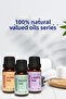 100% Natural Rosemary Essential Oil 10 ml - 4