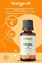 Orange Essential Oil 100% Natural Pure 10 ml - 2