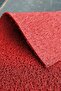 Curly Doormat Apartment Entrance Doormat Building Mat Water Absorbent Mat Non-Slip Mat Large Mat - 2