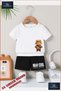 Children's Unisex “Bear Brown Real Sapkali“ Custom Printed Crew Neck T-Shirt - Shorts Set