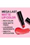 Mega Last Matte Lip Color, Cinnamon Spice - 2