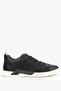 Hammerjack Luza Black - Dark Gray Men's Casual Shoes
