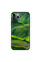 غطاء حماية لجهاز iPhone 11 Pro Max من Green Valley