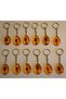 Real Scorpion Fossil Set of 12 Keychain Natural Resin Transparent Car Bag Ornament Decor Gift Set - 3