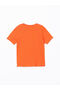 Crew Neck Dinosaur Printed Boys' T-Shirt - 3