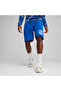 Mens ESS+ PALM RESORT Shorts - Blue