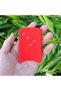 Renault Clio Compatible Silicone Key Case Protective Cover Red - 2