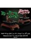 LEGO 10281 Icons Bonsai Tree Set for Adults, Plants Home Décor Set with Flowers, DIY Projects, Rela - 6