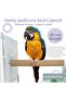عصا باديكير كبيرة للببغاء بقطر 30 سم و36 مم - عصا مصقولة بالرمل - عصا مصقولة بالصنفرة Jako Amazon Macaw Kakadu - 2