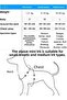 Dog Extension, Walking, Dispatch Strap, Dispatch Collar - 3