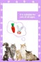 Cat Toy Set – Plush Squeaky Rabbit Toys and Plush Carrot Toys with Catnip - 8