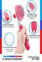 Pet Comb with Pink Keys - Cat Dog Hair Collection Comb - 2