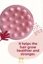 Soft Silicone Shower Leather Massage Comb Pink Cat Dog Comb - 2