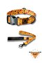Yellowdoggy Dog Collar and Travel Dispatch Strap Set (With Scarf Gift)