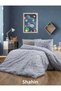 Starry Young Duvet Cover Set, Fitted Sheet, Single Duvet Cover Set - 3