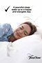 Cotton 50x70 White Inner Lining, Zippered Pillow Case, 5-Piece Pillow Mattress - 5