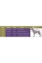 Otso Transparent Large Breed Raincoat - 5