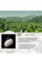 Traditional Silk Protein and Centella Formula Hand and Foot Care Cream 80 gr - 3
