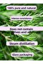 Natural 100% Non-Diluent Rosemary and Camphor Essential Oil - 10ML 10 ML - 4