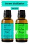 Natural 100% Non-Diluent Rosemary and Camphor Essential Oil - 10ML 10 ML - 2