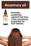 3-Pack of Care Oils: Rosemary Oil 50 Ml, Coconut Oil 50 Ml, Castor Oil 50 ml - 3