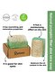 Natural Pumpkin Fiber Aloe Vera & Rice Bran Soap 2 Pack - 2