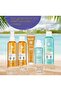 Face & Body Sun Lotion - SPF 30 / 150ml Provides comfort, softness and intense hydration to your skin. - 7