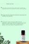 Thyme Essential Oil - 100% Pure Carvacrol Thyme Oil - 10 ml (High Carvacrol) - 3