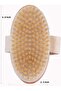 Titanium Tip 540 Needle Derma Roller 0.5 Mm Needle And Horsehair Cellulite Brush - 8