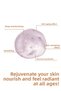 Retinol & Squalane Facial Serum 30 ml - Powerful Anti-Aging and Anti-Wrinkle Formula - 6