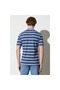 Regular Fit Normal Cut 100% Cotton Polo Neck Striped T-Shirt - 4