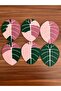 جوهرة alocasia كوستر - 7
